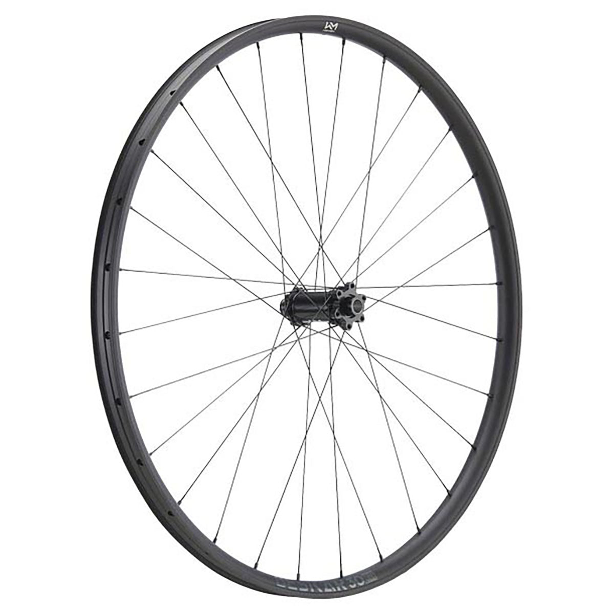 NEWMEN Front Wheel - Beskar 30 base 29" 28h FADE SP 6B 15x110 - Trail
