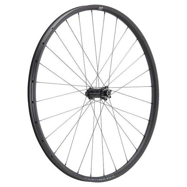 NEWMEN Front Wheel - Beskar 30 base 29" 28h FADE SP 6B 15x110 - Trail