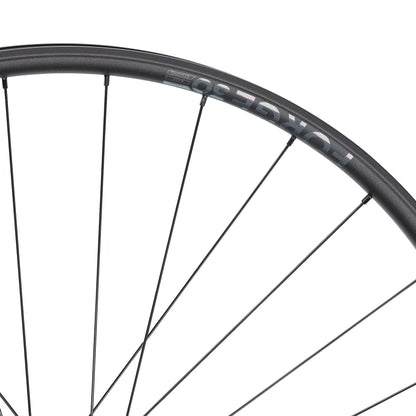 NEWMEN - Wheel (Rear) - Forge 30 Light | Cross Country - [D]