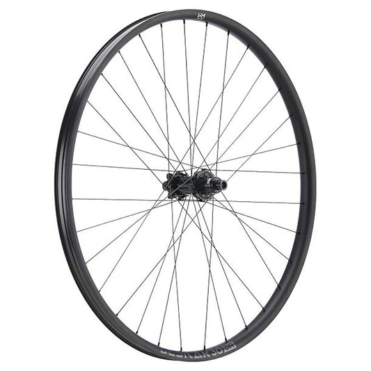 NEWMEN - Wheel (Rear) - Beskar 30 DH | Downhill - [D]