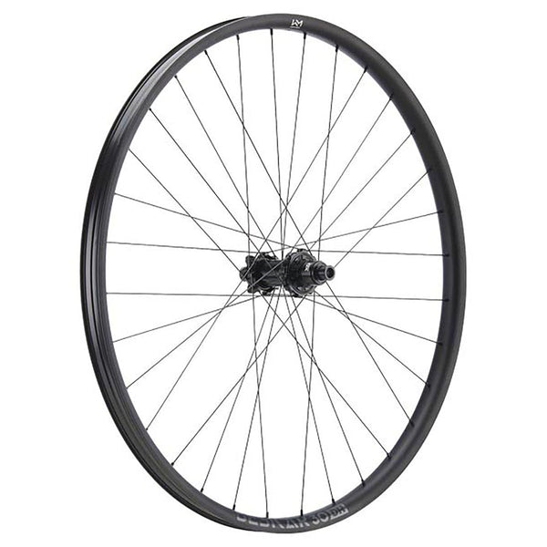 NEWMEN - Wheel (Rear) - Beskar 30 DH | Downhill - [D]