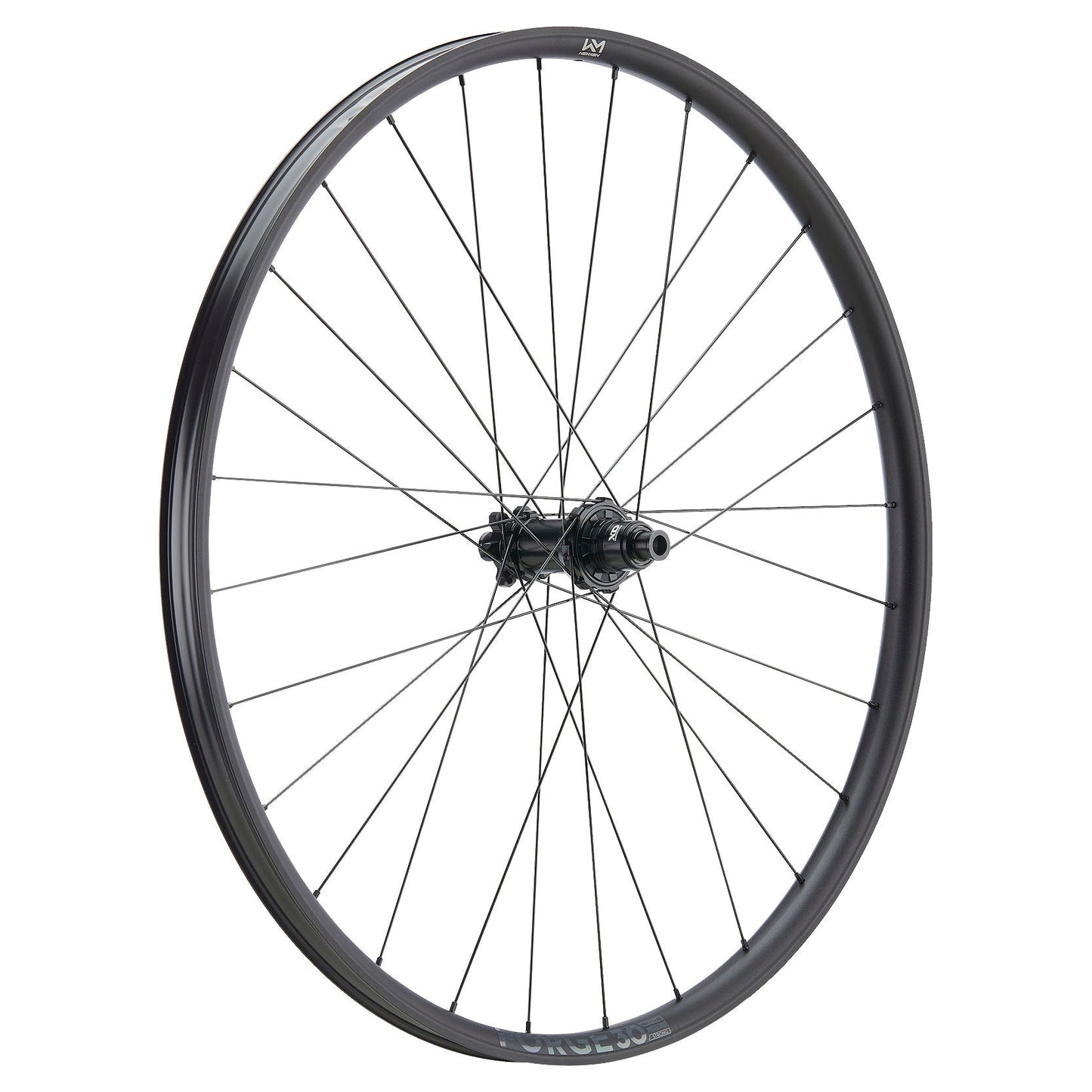 NEWMEN Rear Wheel - Forge 30 base 29" 28h FADE SP 6B 12x148 XD - Trail
