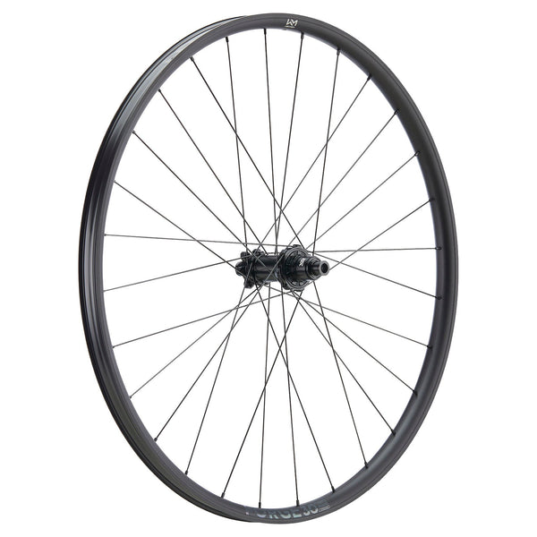 NEWMEN Rear Wheel - Forge 30 base 29" 28h FADE SP 6B 12x148 XD - Trail