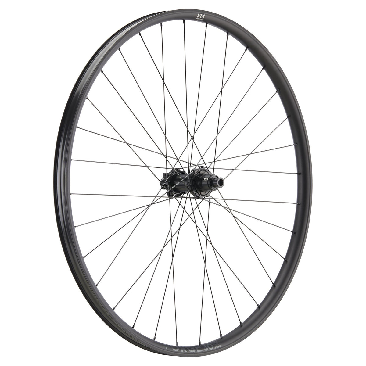 NEWMEN - Wheel (Rear) - Forge 30 Strong | Enduro - [D]