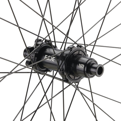 NEWMEN - Wheel (Rear) - Forge 30 Light | Cross Country - [D]