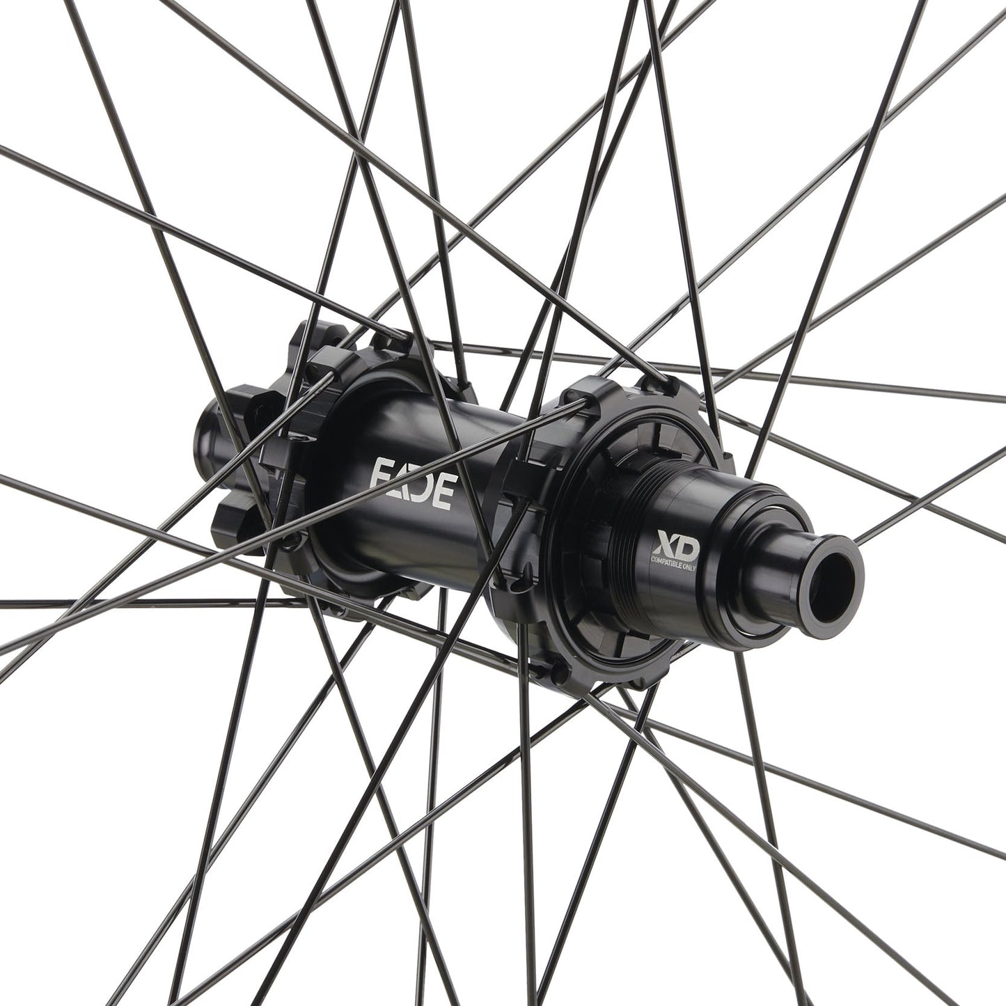 NEWMEN - Wheel (Rear) - Forge 30 Base | Trail - [D]