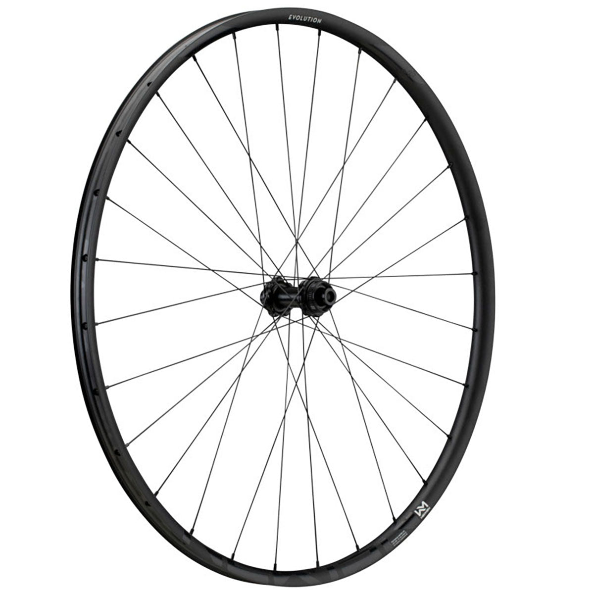 NEWMEN Front Wheel - Evolution SL X.R.25 29" 28h Fade R SP CL 12x100 - Gravel