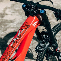 All Mountain Style - Frame Guard XL